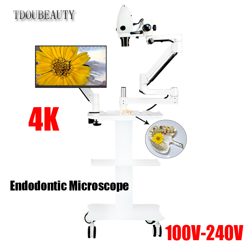 4K Dental Electron Microscope  - đánh giá và giá Teeth Whitening Video