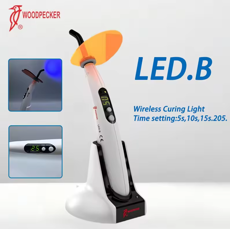 Dental Curing Light Woodpecker - đánh giá và giá Teeth Whitening Home