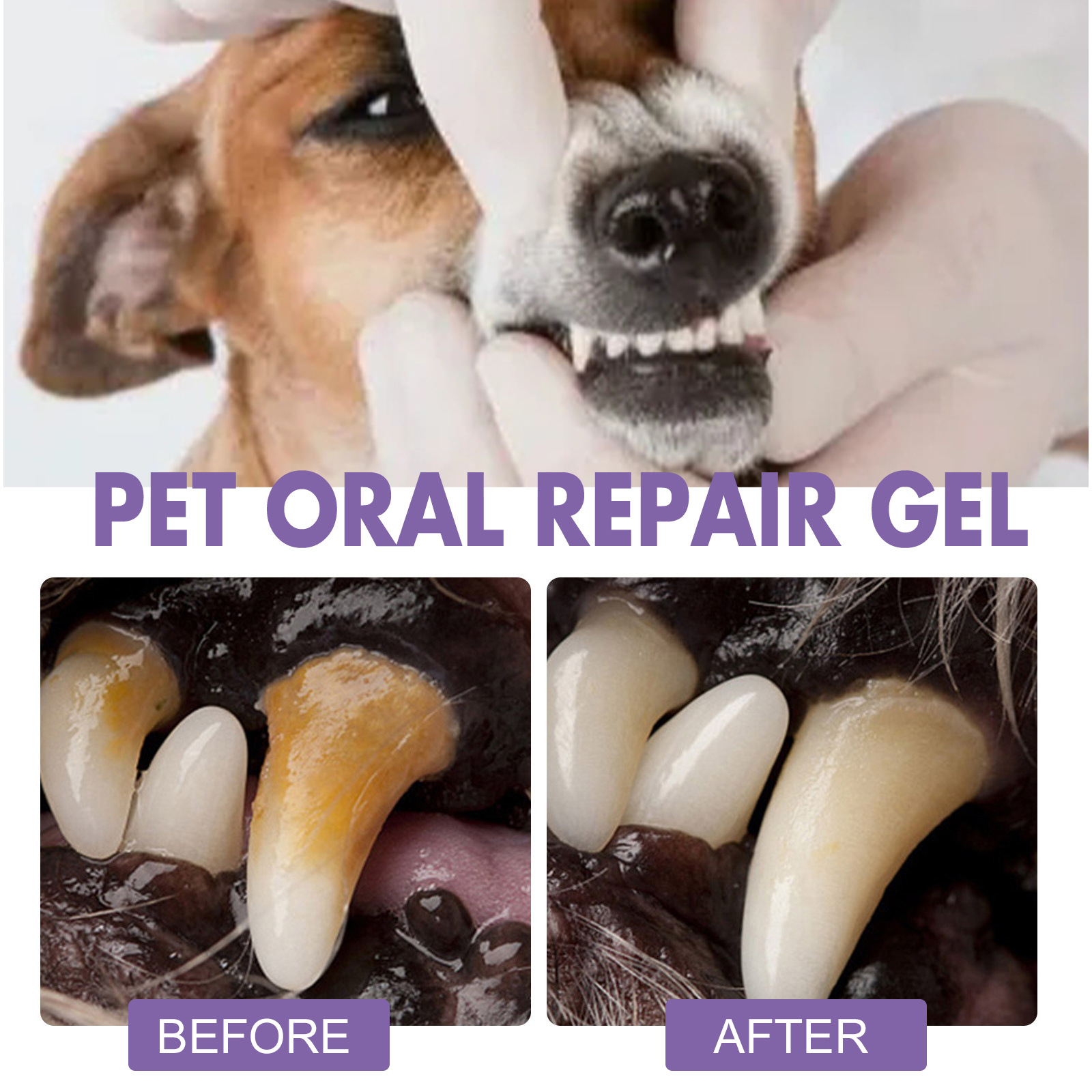 Pet Oral Repair Gel Puppy Tart - đánh giá và giá Teeth Whitening Procedure